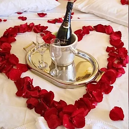 Spacious Luxury Loft 1 Minute From Trevi Fountain 公寓 *